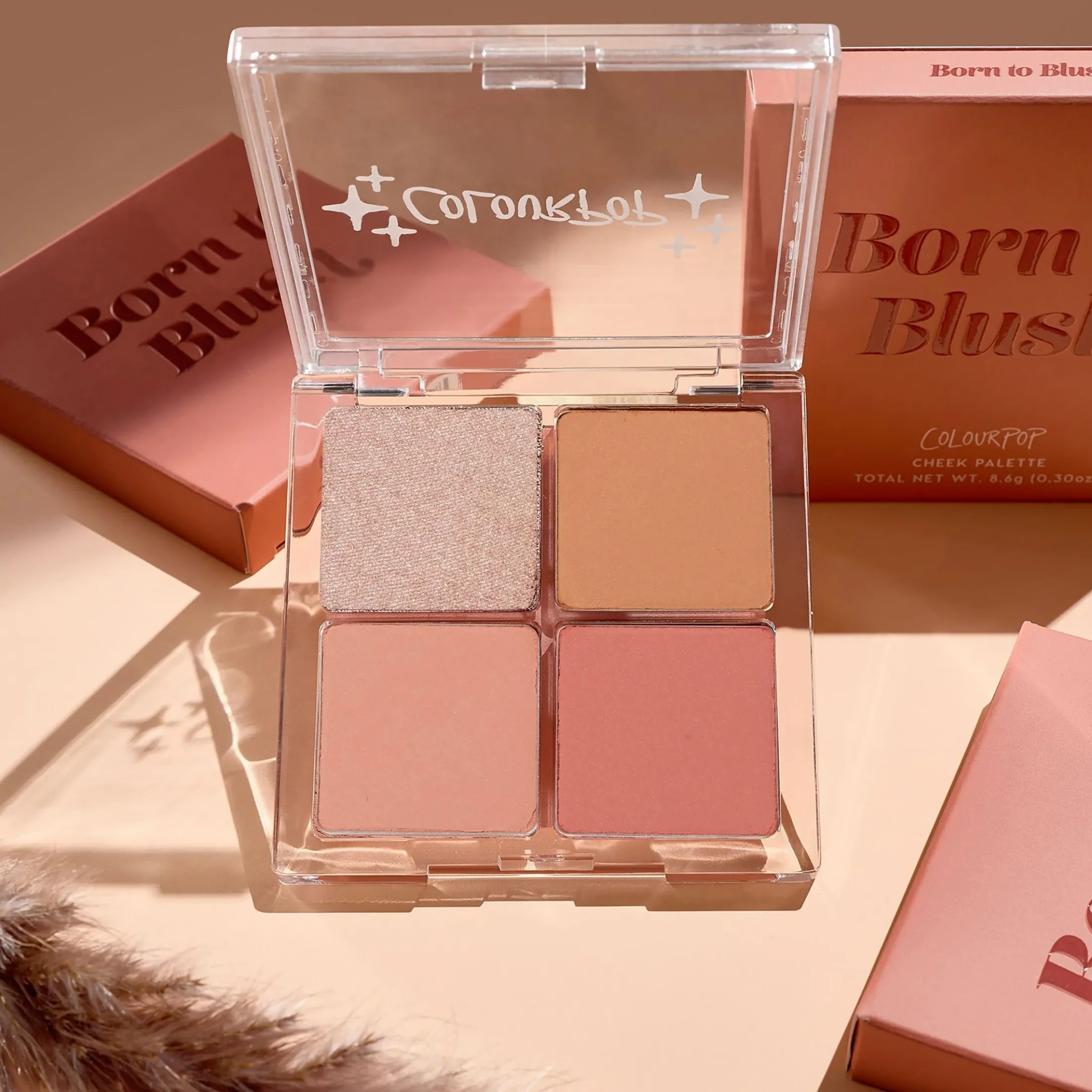 ColourPop Blush*Born To Blush Cheek Palette