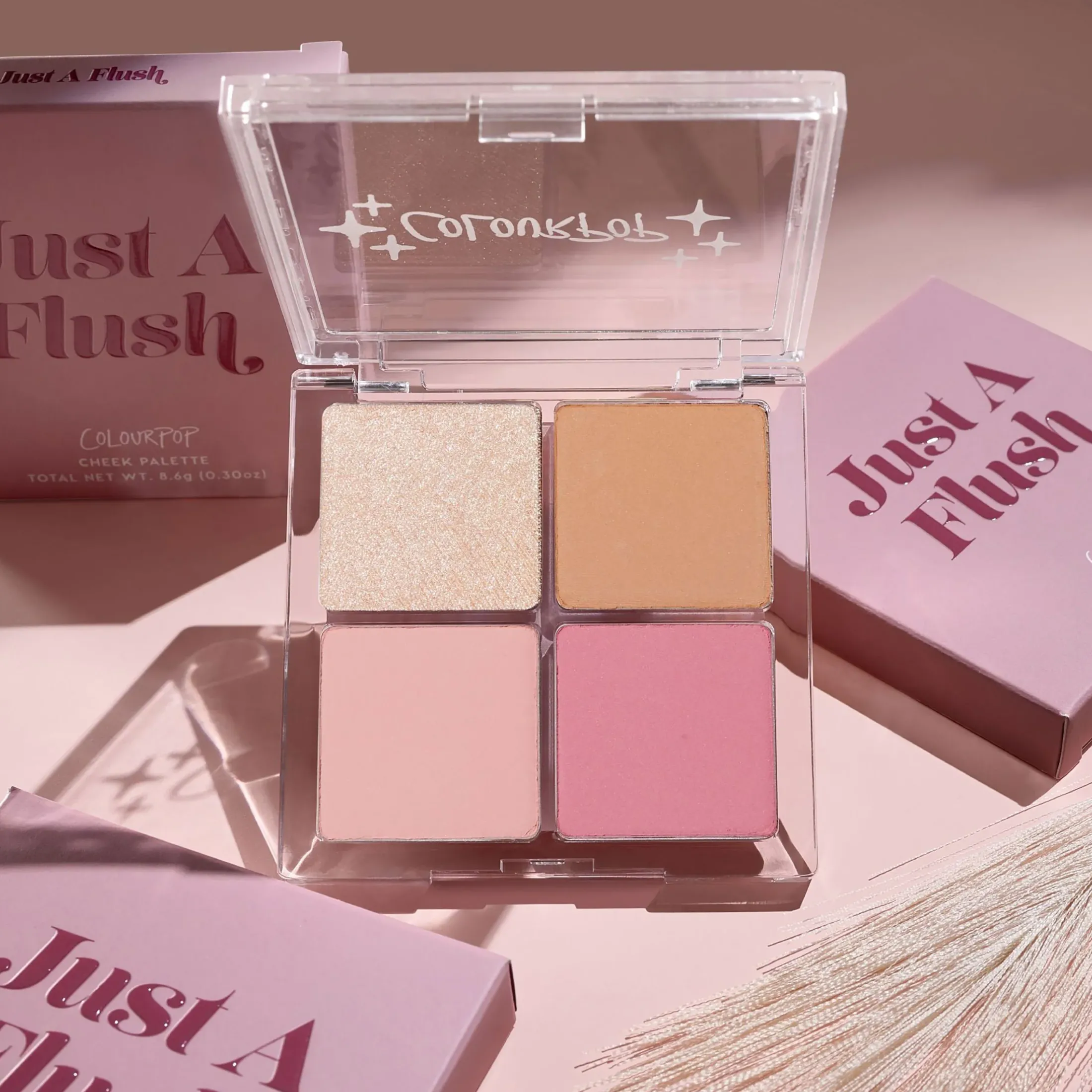 ColourPop Blush*Just A Flush Cheek Palette