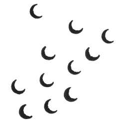 ColourPop Face Accessories*Moon Moon Face Stamp