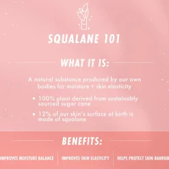 ColourPop Moisturizers*The Daily Face Cream Replenishing Face Cream